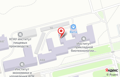 КрасГАУ, Красноярский государственный аграрный университет в Октябрьском районе на карте