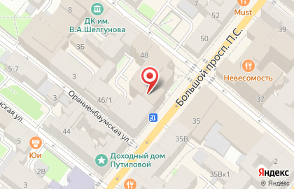 Ветеринарная служба Ветнаходка на Большом проспекте Петроградской стороны на карте