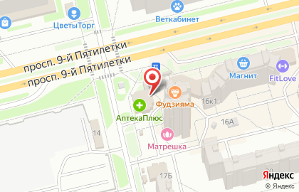 Служба заказа товаров аптечного ассортимента Аптека.ру на улице 9 Пятилетки на карте