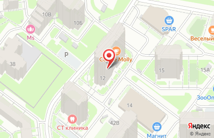 Профиостео на карте