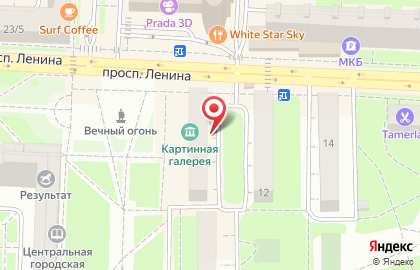 Зоосалон Лакки на проспекте Ленина на карте
