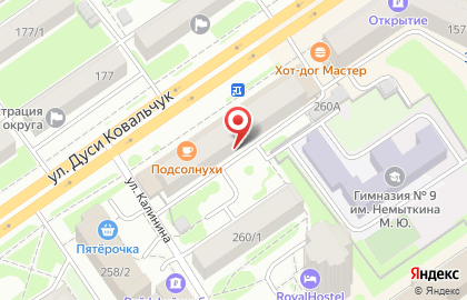 Типография Звезда+ на улице Дуси Ковальчук на карте