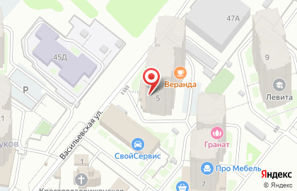 Аптека Самая Скорая Помощь на Васильевской улице на карте