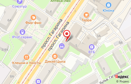 Ювелирный магазин Адамас на проспекте Гагарина на карте