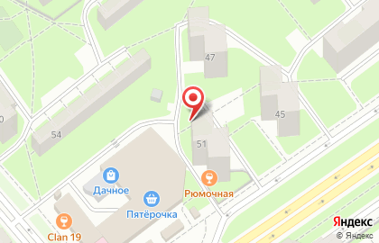 Продуктовый магазин на проспекте Ветеранов, 51 на карте