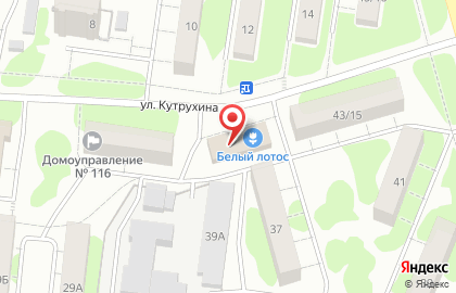 Компания Белый лотос в Йошкар-Оле на карте