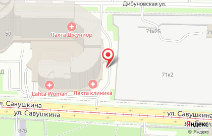 Адвокат Шапошников Д. А. на Дибуновской улице на карте