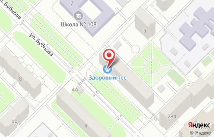Здоровый пес на карте