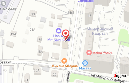 Автосервис на улице Мичурина на карте