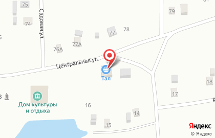 Продуктовый магазин Тал на Центральной улице на карте