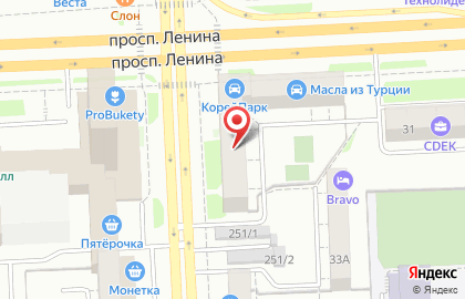 Ветеринарная клиника Зоопульс на проспекте Ленина, 33 на карте