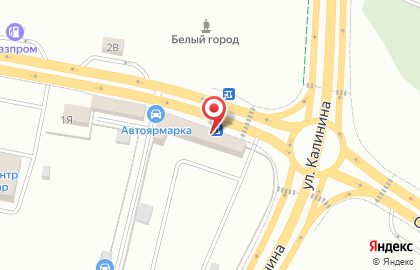 Магазин автошин и дисков Автошины у Ирины в Белгороде на карте