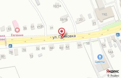 Эскулап в Центральном округе на карте