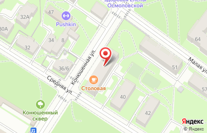 Продуктовый магазин на Конюшенной, 9 на карте