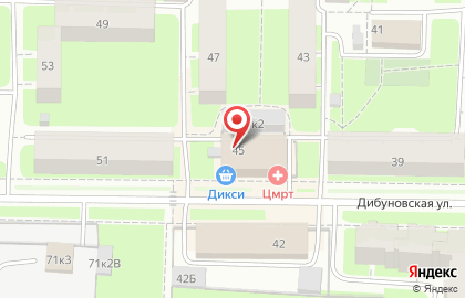 Лечебно-диагностический медицинский центр ЦМРТ на Дибуновской улице на карте