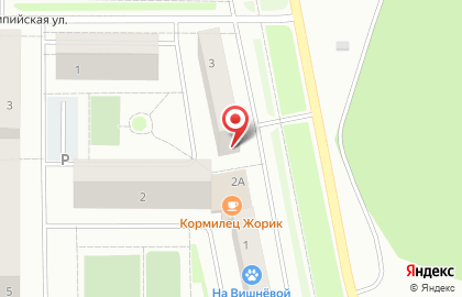 Магазин зоотоваров в Челябинске на карте