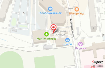 Магазин товаров для садоводства на Пионерской улице на карте