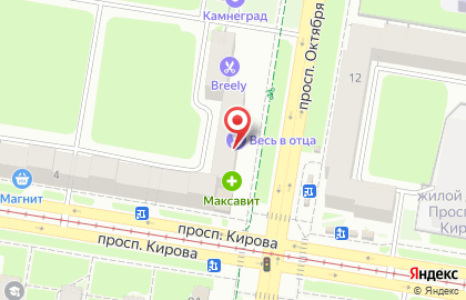 Зоомагазин ЛапУшки в Нижнем Новгороде на карте