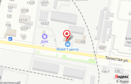 Станция замены масел Mobil 1 центр 28rus на Тенистой улице на карте