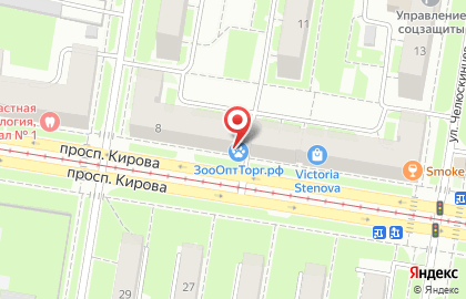 Зоомагазин ЗооОптТорг на улице Кирова на карте