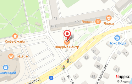 Магазин и киоск фастфудной продукции Шаурма центр на улице Пушкина на карте
