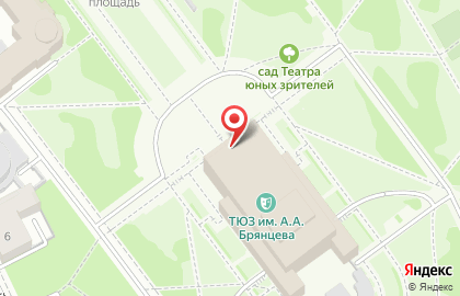 Санкт-Петербургский государственный театр юных зрителей им. А.А. Брянцева на карте