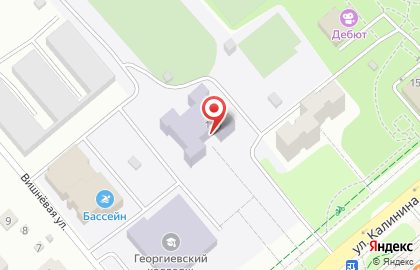 Георгиевский колледж в Георгиевске на карте