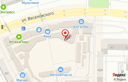 Магазин мужской обуви Мокасин в Саранске на карте