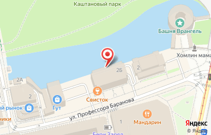 Магазин автозапчастей на ул. Профессора Баранова, 2г на карте