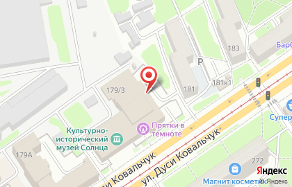 Фирма по дезинфекции, дезинсекции и дератизации Сибирский Центр Дезинфекции на карте