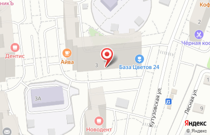 Торгово-производственная компания Русский цвет на Кутузовской улице, 3 на карте