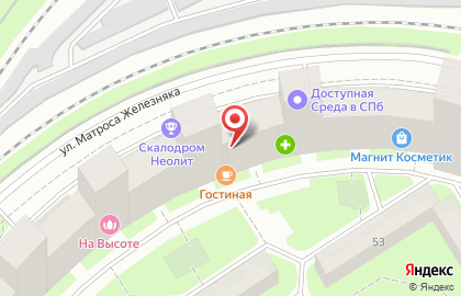 Клиника пластической хирургии и косметологии Своя Клиника на улице Матроса Железняка на карте