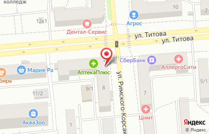 Зоомагазин Четыре Лапы на улице Римского-Корсакова на карте