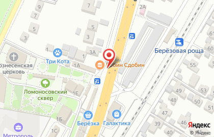 Кафе быстрого питания Робин Сдобин на улице Ломоносова, 1/1 киоск на карте