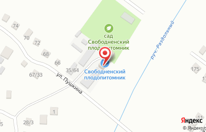 Плодопитомник Свободненский на карте