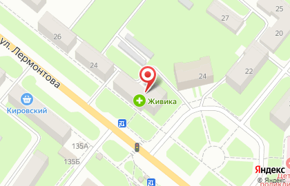 Аптека Живика на улице Лермонтова на карте