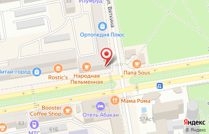 Народная Пельменная на проспекте Ленина на карте