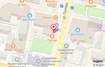 Кафе-паб Гвозди на улице Попова на карте