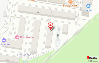 Жилой комплекс Прилесье в Автозаводском районе на карте
