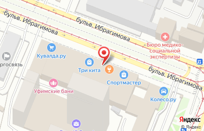 Оптово-розничный центр хоккейной экипировки ХоккейЦентр.РФ на бульваре Ибрагимова на карте