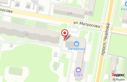 Социально-досуговый центр детей и молодежи Созвездие на проспекте Чкалова на карте