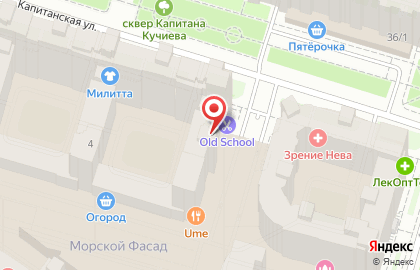 Центр дошкольного образования Эрудит в Василеостровском районе на карте