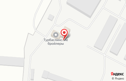Птицефабрика Турбаслинские Бройлеры на карте
