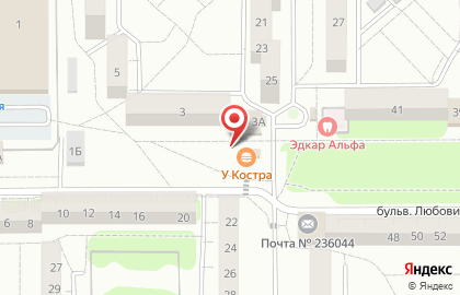 Осьминог на карте