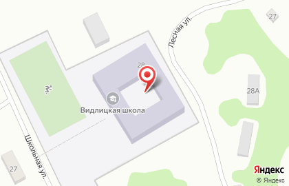 Видлицкий дом-интернат для престарелых и инвалидов на карте