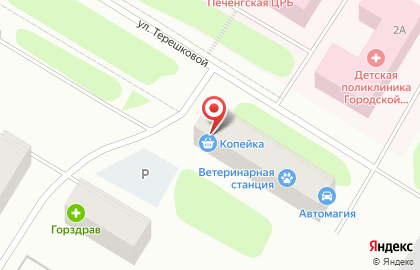 Супермаркет Копеечка на улице Терешковой на карте