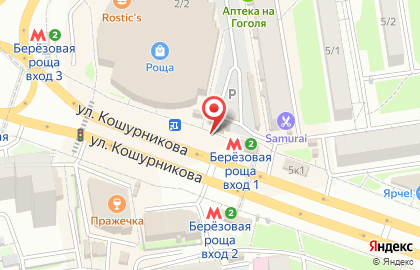 Киоск по продаже печатной продукции на улице Кошурникова на карте
