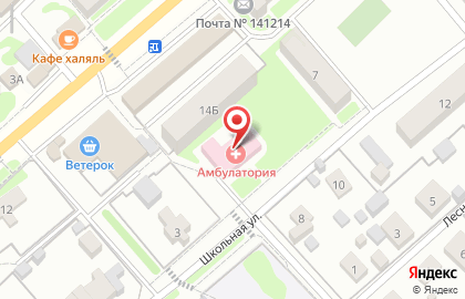 Амбулатория, пос. Зверосовхоз на карте