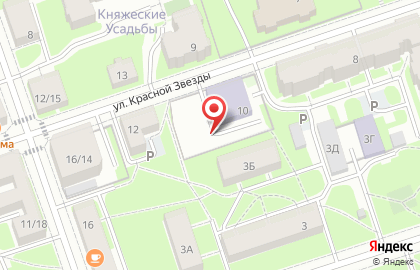 Лицей №410 с дошкольным отделением, Пушкинский район на карте