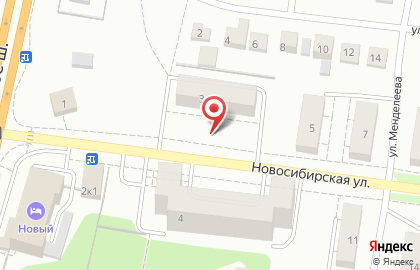 У Пушкина на Новосибирской улице на карте